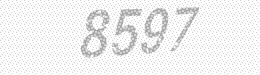 Visual security code — type the characters shown in the image