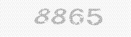 Visual security code — type the characters shown in the image